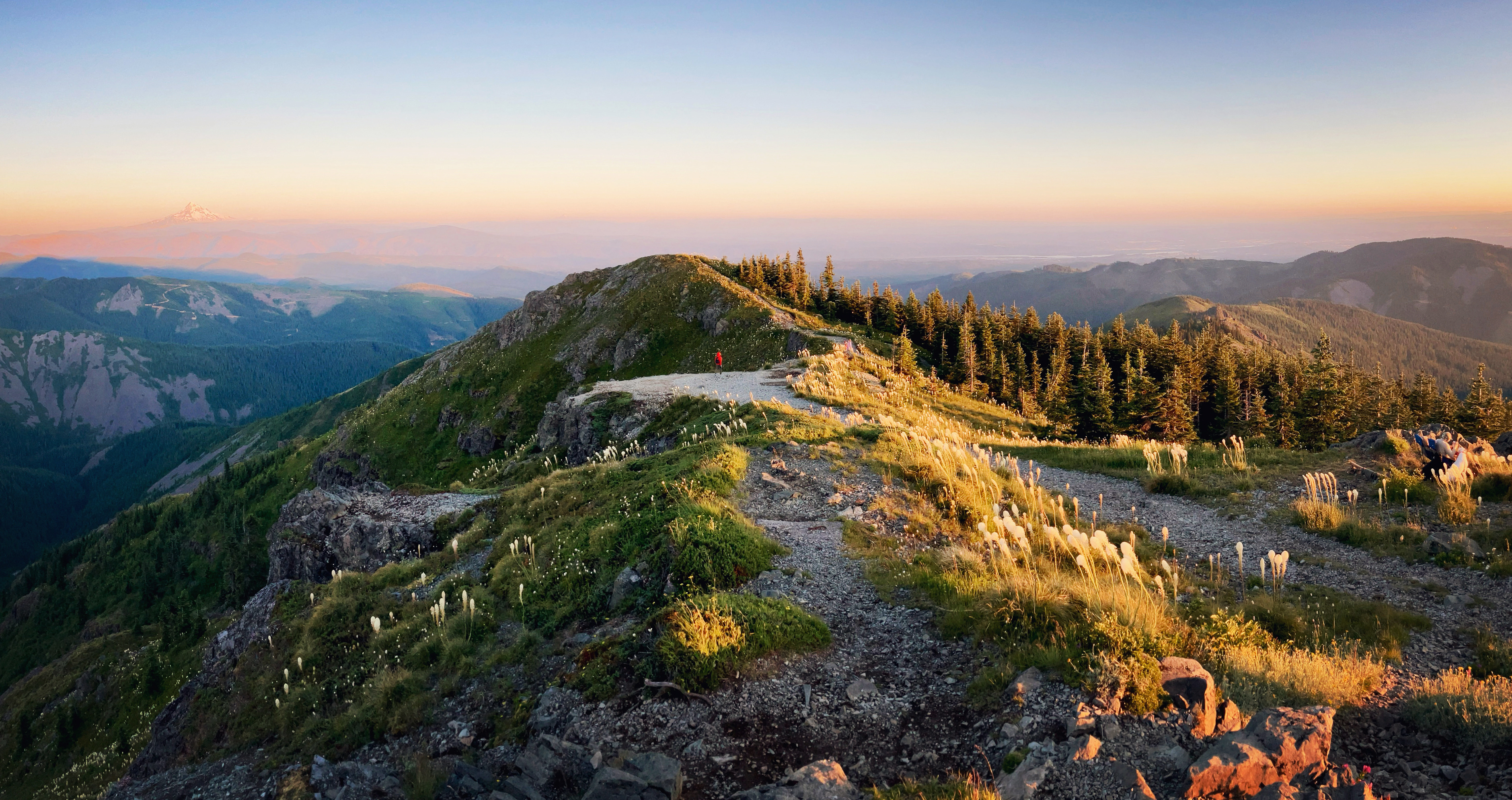 The small figure of a person stands on a peak, surrounded by blooming beargrass, evergreen trees and peaks in the distance