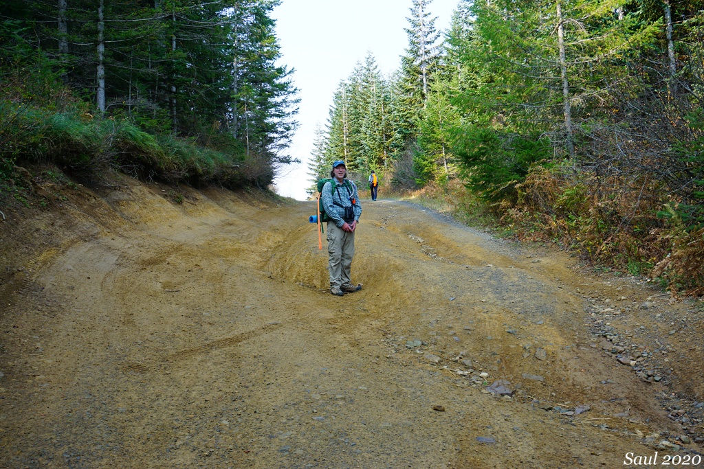 Dirt road up to Silver Star is in bad condition, image showing multiple ruts in the road.