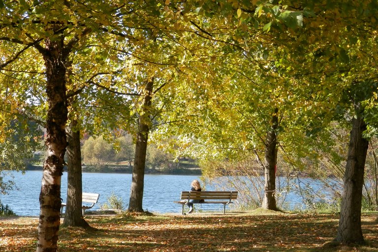 A person sits on a bench in front of a lake. Trees with golden leaves surround the scene. 