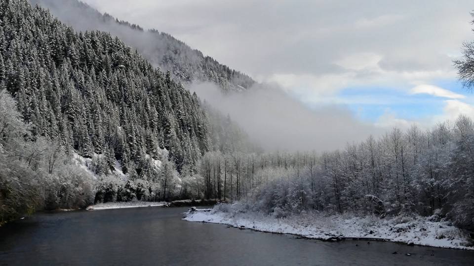 skagit.jpeg skagit.jpeg