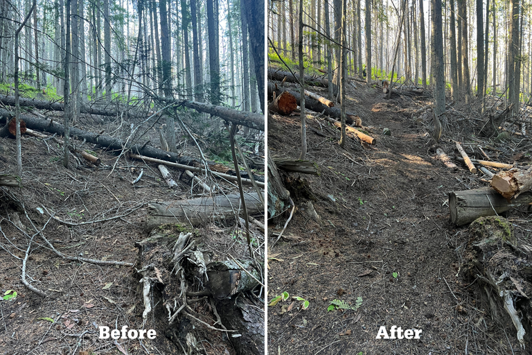 A two-image collage of a before and after. The left is a trail riddled with blow downs. The right is a clear trail.