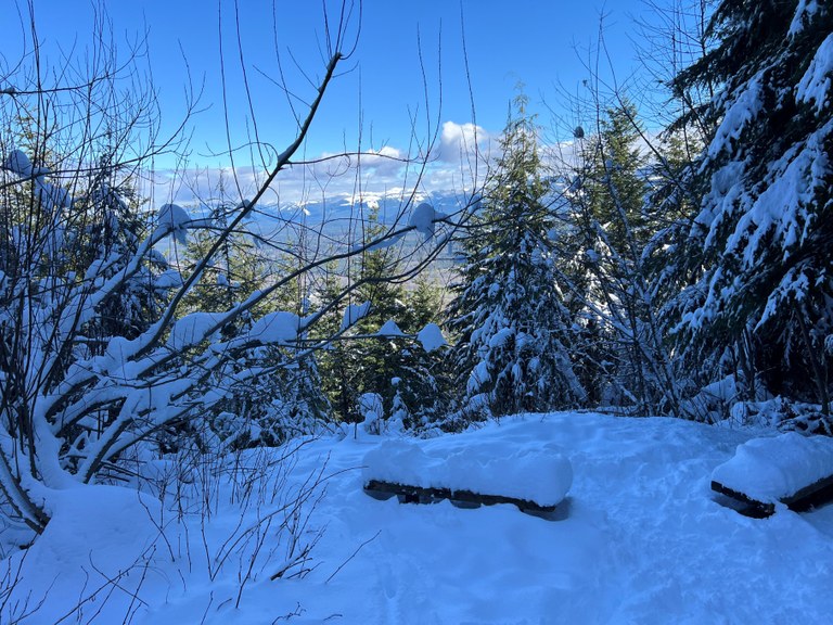 A snowy bench at Stan's Overlook on Rattlesnake Mountain. Photo by Outside Nancy.