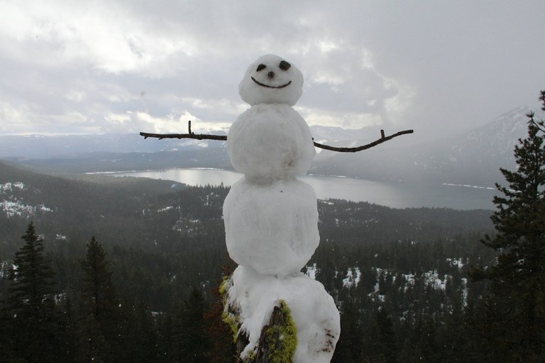 Build your own holiday company... in the form of snowpeople. Build your own holiday company... in the form of snowpeople.