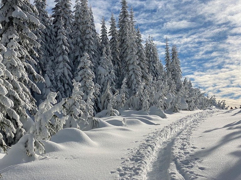 Foot path in the snow. Photo by cristina.