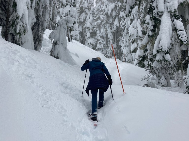 Snowshoeing at Reflection and Louise Lakes. Photo by Nate Bottman.