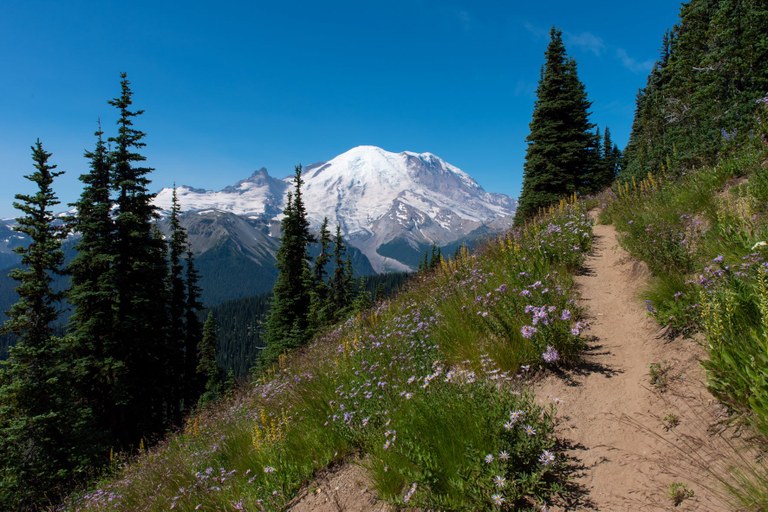 Sourdough Ridge trail in Mount Rainier National Park. Photo by Brian Felt.