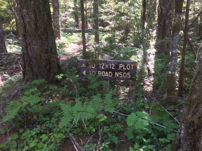 A sign in the trees points to the 12 by 12 plot of the trail and to Road N505. 