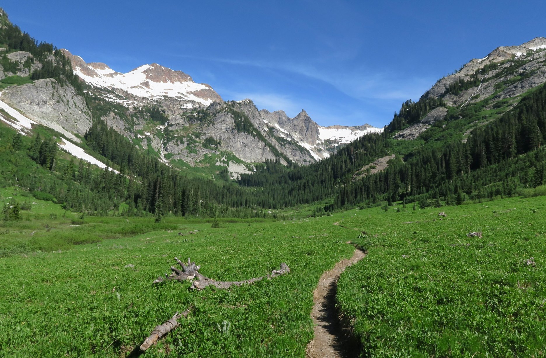 spider meadow trenching by jdk610.jpeg