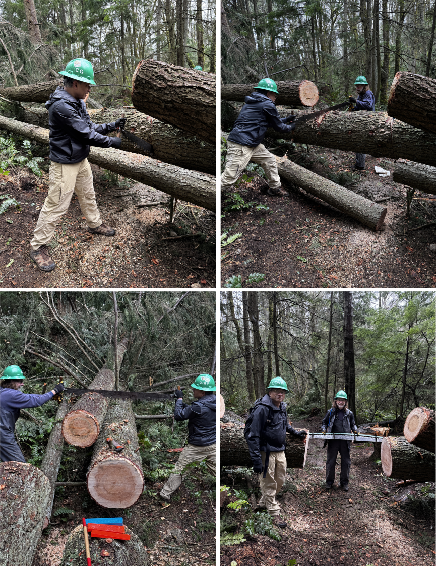 During and after logging out a trail on Squak Mountain. Photo by Cliff Cantor.