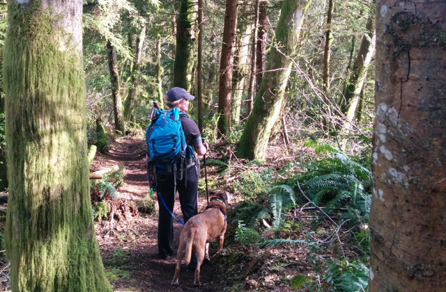 Try training your dog to follow you on leash. It will cut down on pulling and help you manage encounters. Photo on Squak Mountain by Loren Drummond. 