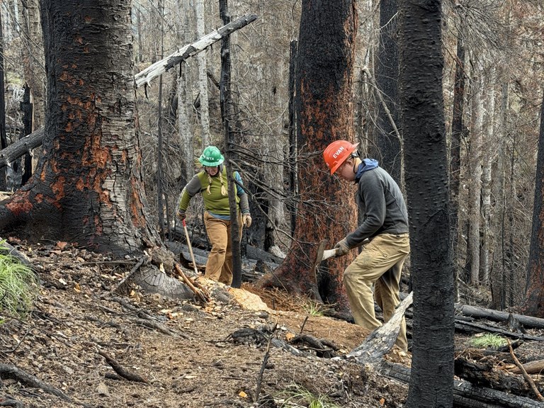 WTA crews work on the Mount Rose trail in the Staircase area burn zone. Photo by Mount Rose. 