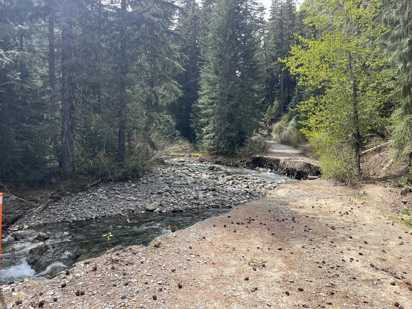 A road in the forest ends abruptly where a river has washed it away