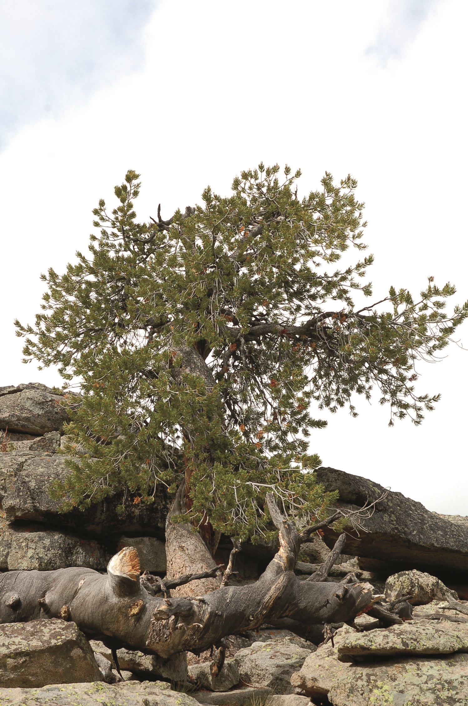 Summer 2013-09-18_10-50-36.JPG Summer 2013-09-18_10-50-36.JPG