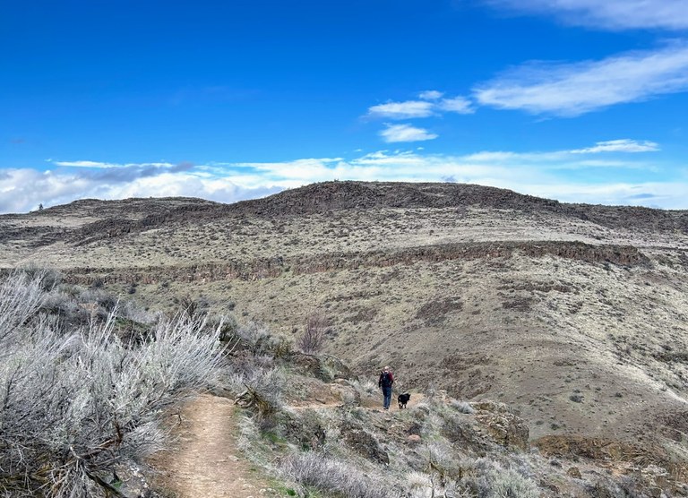 Hiker with a leashed dog on the East Uplands Trail in the Cowiche Canyon Preserve in Central Washington on a sunny day. Photo by trip reporter JamesHaitch.