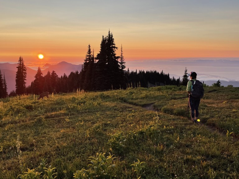 The sun sets behind a rolling, grassy hillside atop Hurricane Ridge in the Olympics.