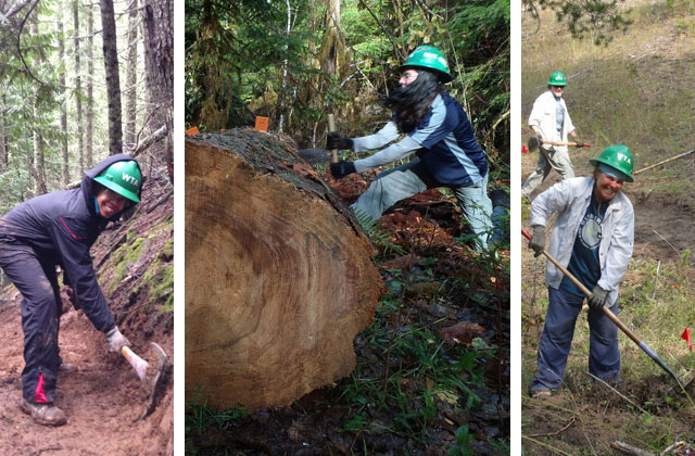 Volunteers from both sides of the state like to cross the passes to get their crosscutting fix, or to have an easier time roughing in trails. Photos by Kindra Ramos and Meagan Mackenzie. 