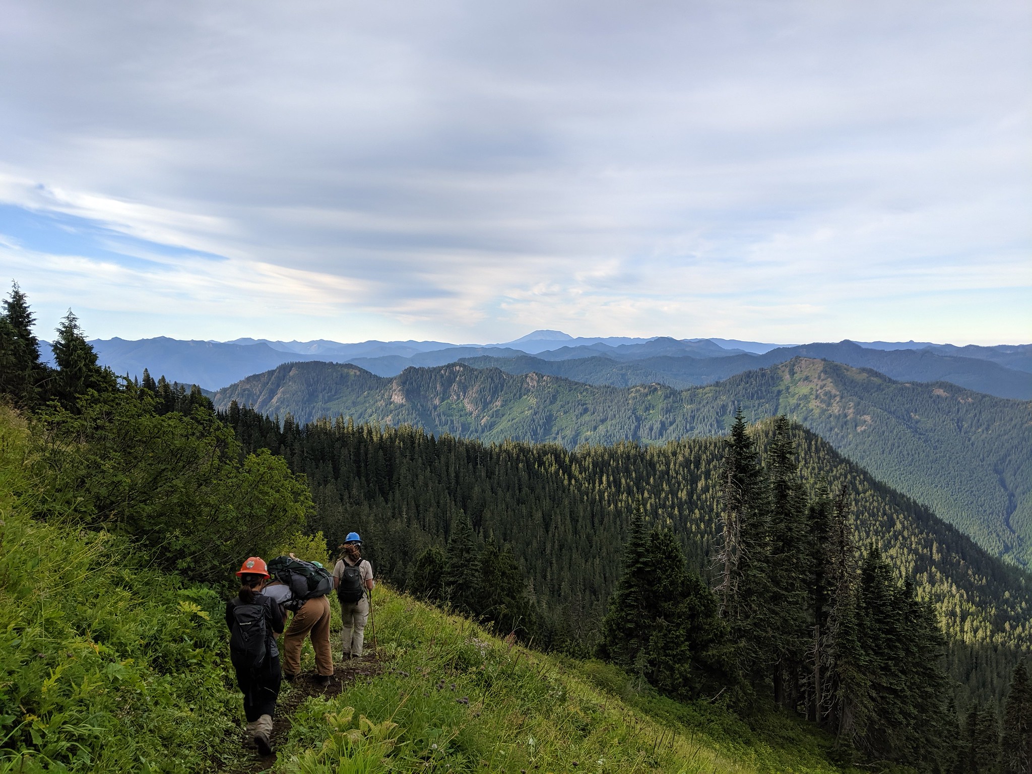 WTA trail crew hikes along a trail in the Tatoosh Wilderness in Gifford Pinchot National Forest. Photo by Julie Ralph