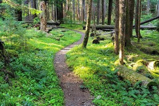 Tell us how you enjoy the North Hood Canal area — and help shape its future
