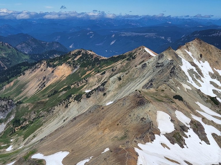 the knife _ two sisters.jpeg