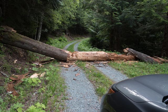 The road to the Welcome Pass and High Divide trailhead in summer of 2015. Photo by bproctor