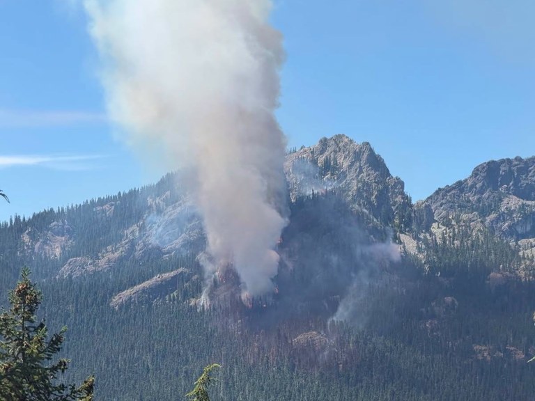 A fire burns on the side of a treed mountainside. Photo courtesy of the U.S. Forest Service.