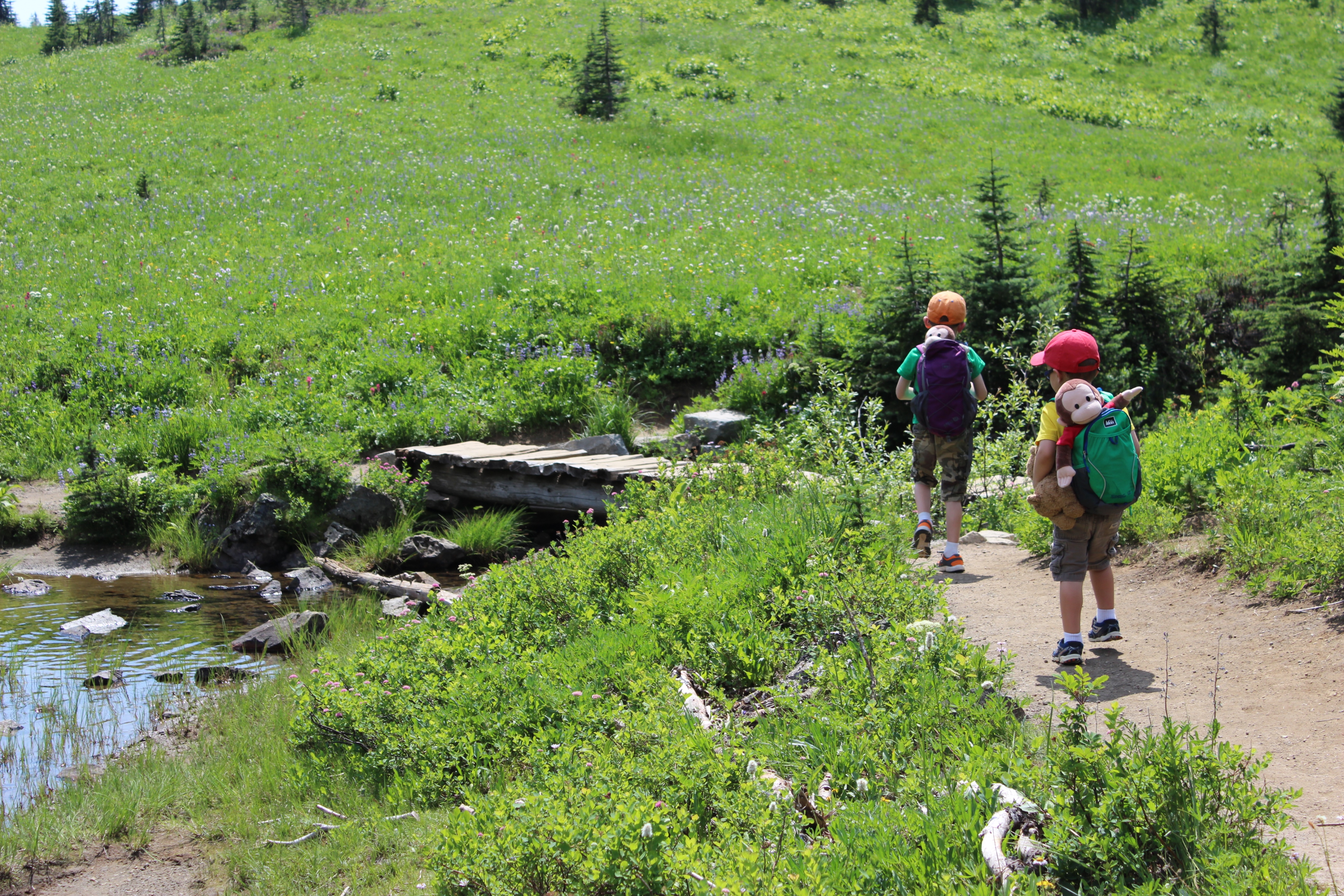 Tipsoo Lake Trail-1.1.2000-Becky Trepp..jpg