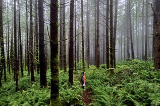 Together, we’ve changed state trails for the good