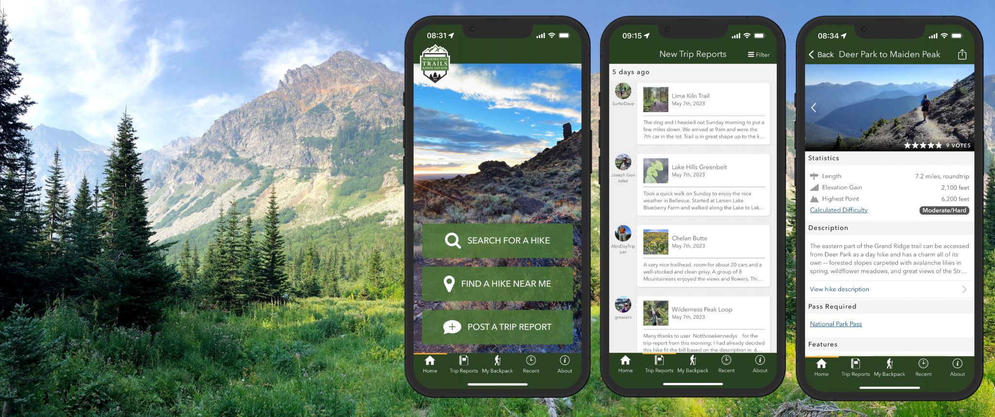 Photo of summer alpine meadow with Trailblazer mobile app screenshots