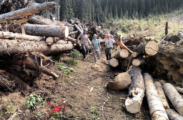 The trail is cleared and ready for hikers. Photo by Zachary McBride.