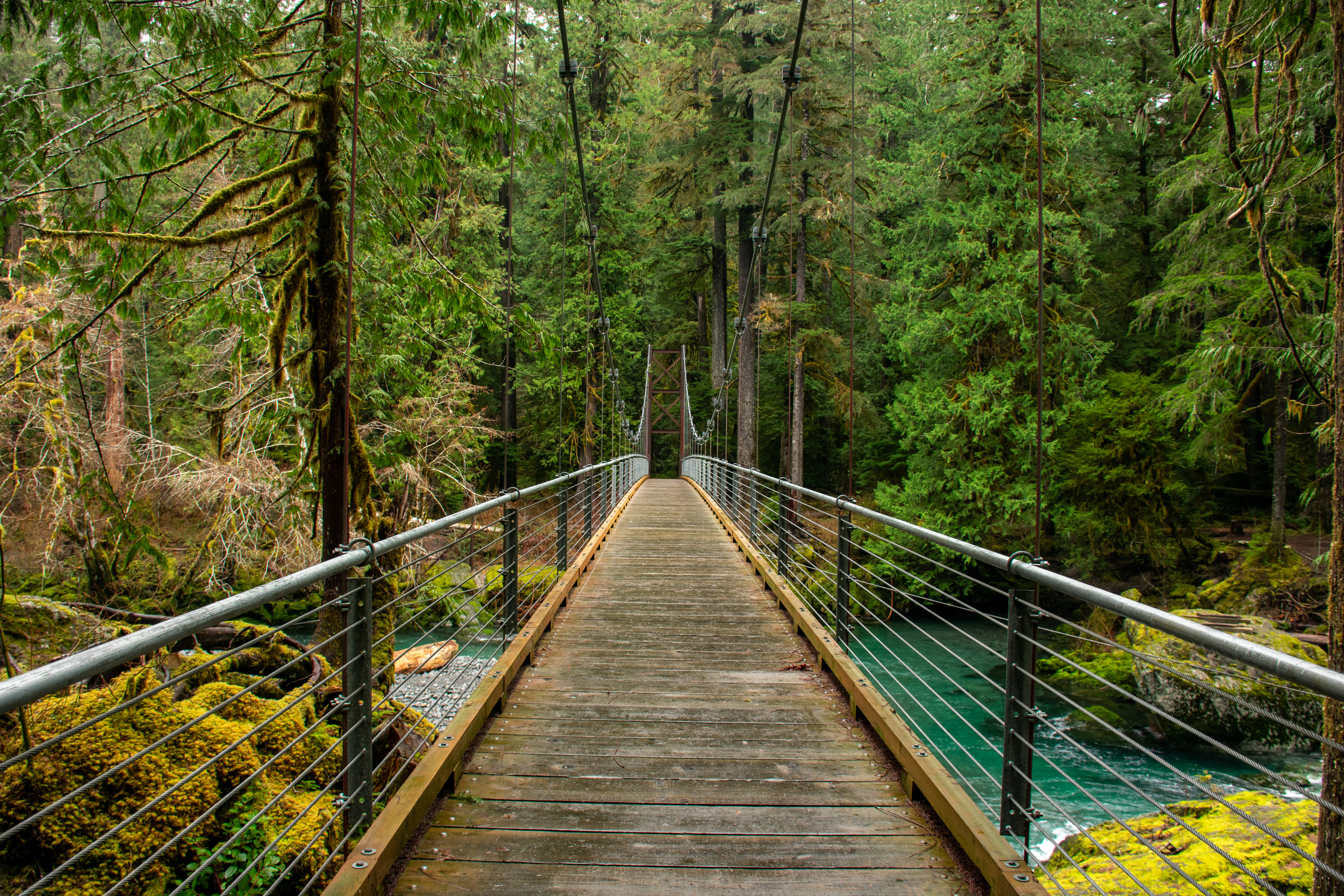 Photo by Terra Compton