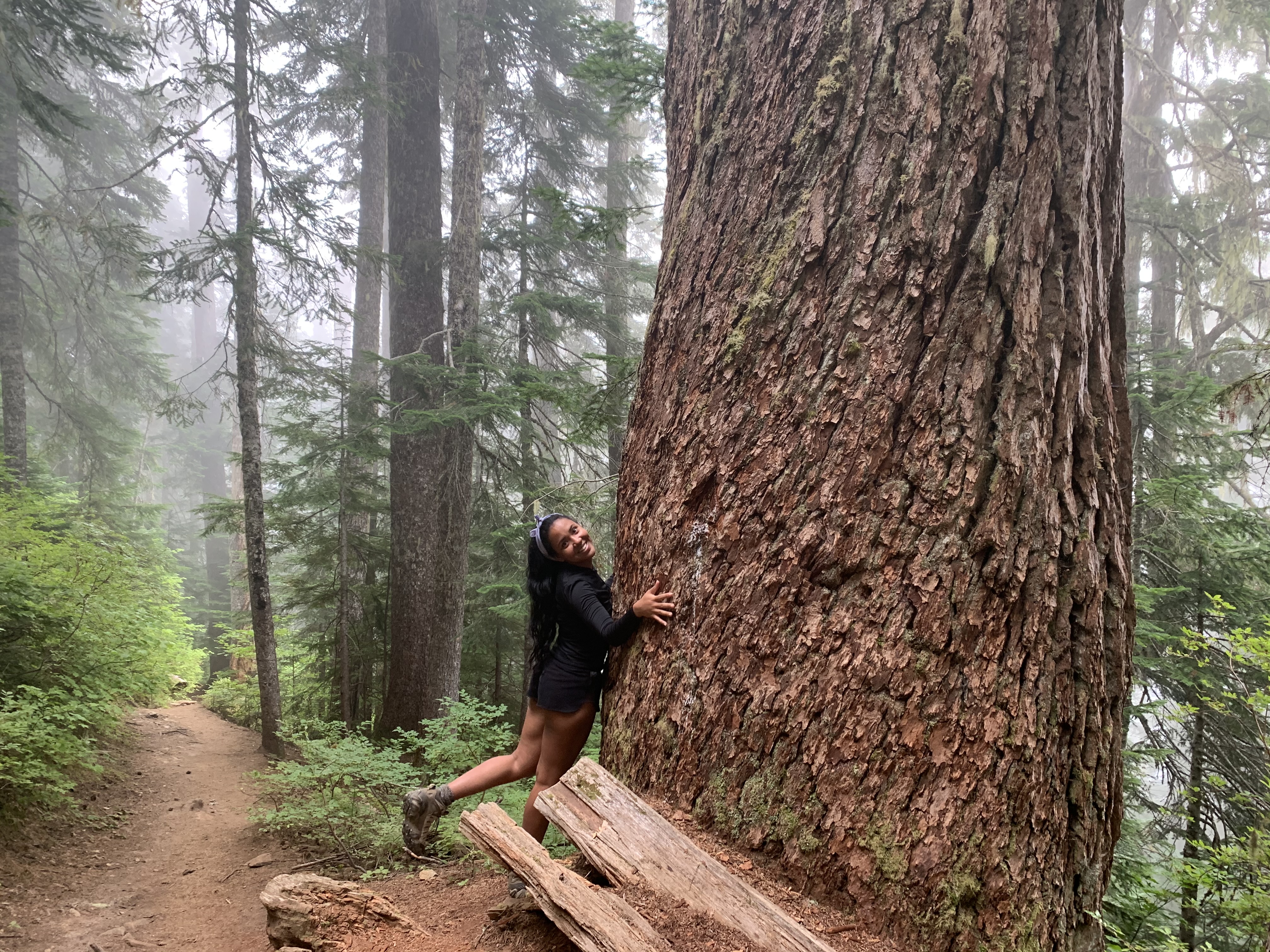 A young hiker hugs the side of huge tree trunk while smiling and kicking up their leg