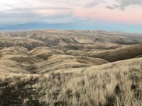 High desert vista. 