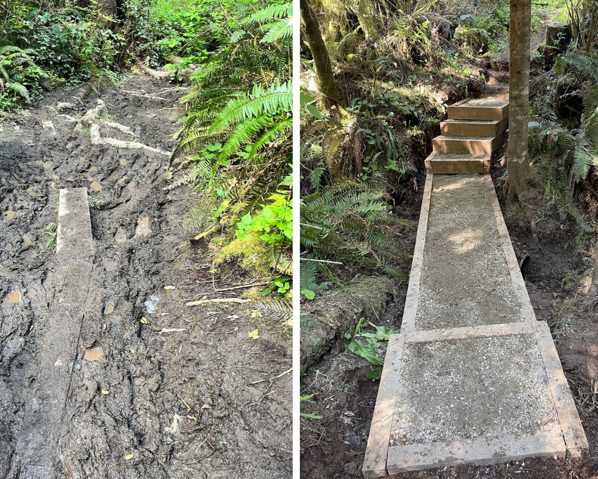 A side by side of trail where on the left the trail is hopelessly muddy and messy. On the right, the same trail now has stairs that make it much easier to navigate. 