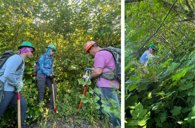 Untitled design(5).png