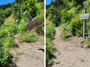 Untitled design(7).png