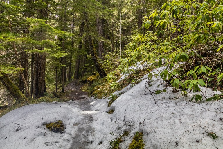 Upper Dungeness River by Mirek.jpeg