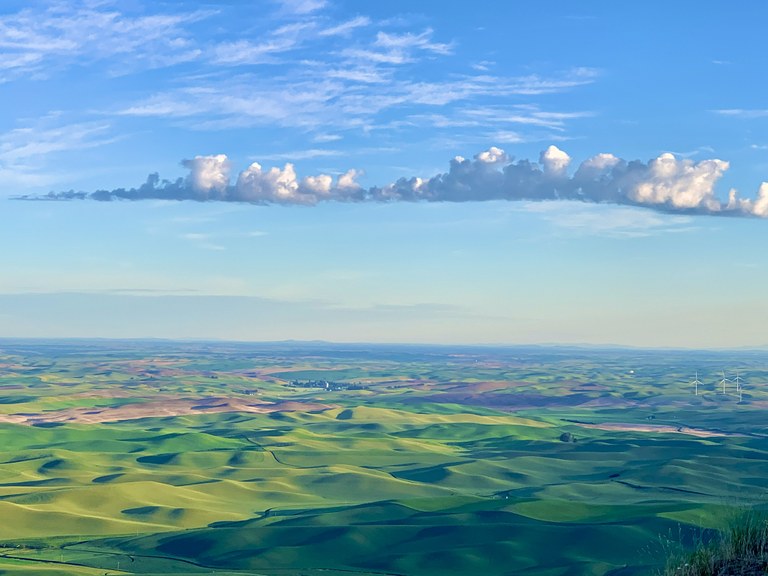 View from Steptoe Butte. Photo by Myra Prykhodko