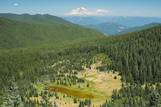 A view of Mount Rainier from the top of Goat Mountain. Photo by ehiker.