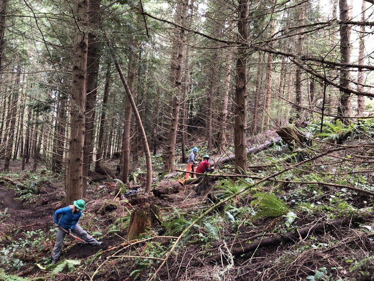 volunteers beginning to brush before building trail at Striped Peak. Photo by Martin Knowles volunteers beginning to brush before building trail at Striped Peak. Photo by Martin Knowles