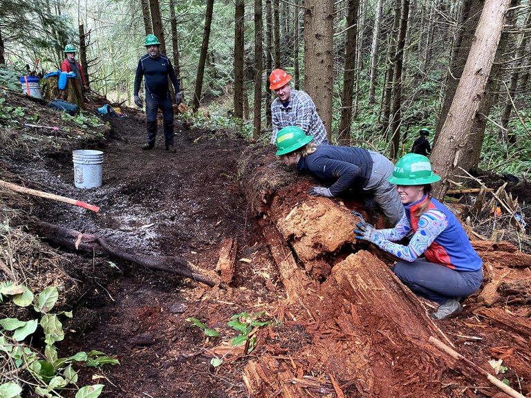 Volunteers clearing a log from planned trail route on Striped Peak. Photo by Martin Knowles. Volunteers clearing a log from planned trail route on Striped Peak. Photo by Martin Knowles.