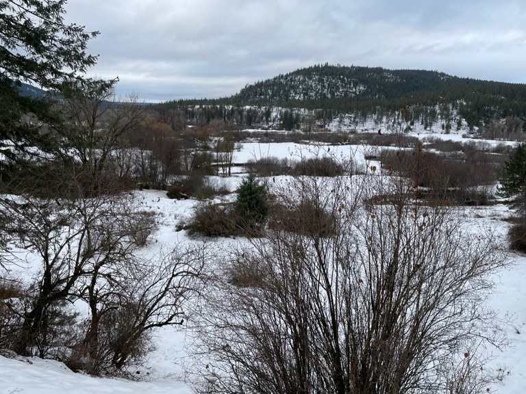 A view of a snowy landscape at Waikiki Springs Nature Preserve. Photo by California Girl.