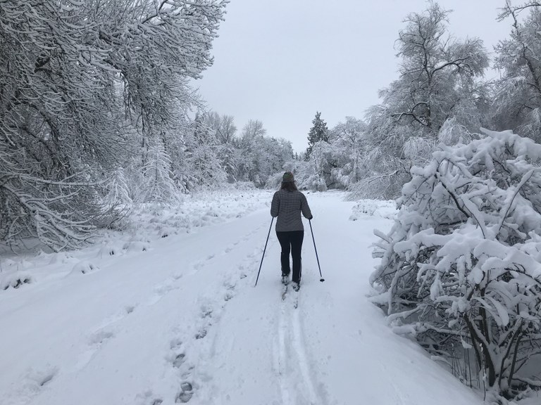 Washington Park Arboretum.jpeg Washington Park Arboretum.jpeg