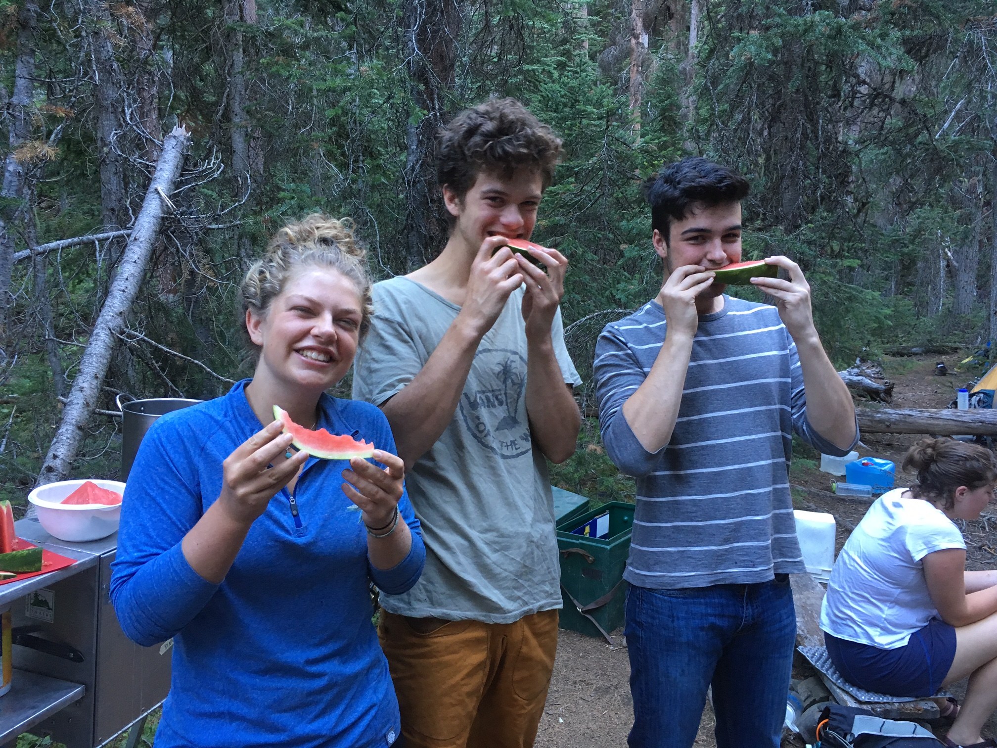 watermelon.jpeg watermelon.jpeg