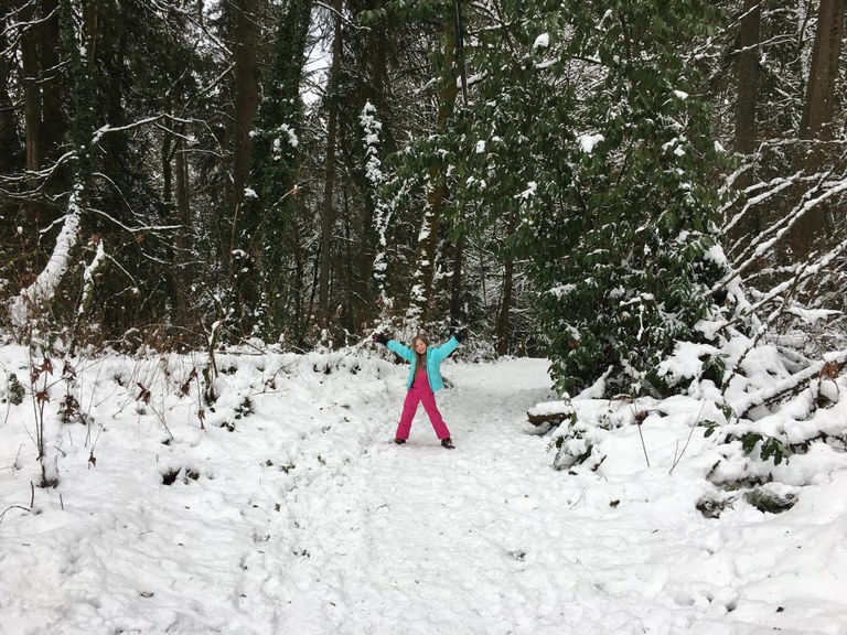 Weowna Park by kidz won't hike.jpeg Weowna Park by kidz won't hike.jpeg