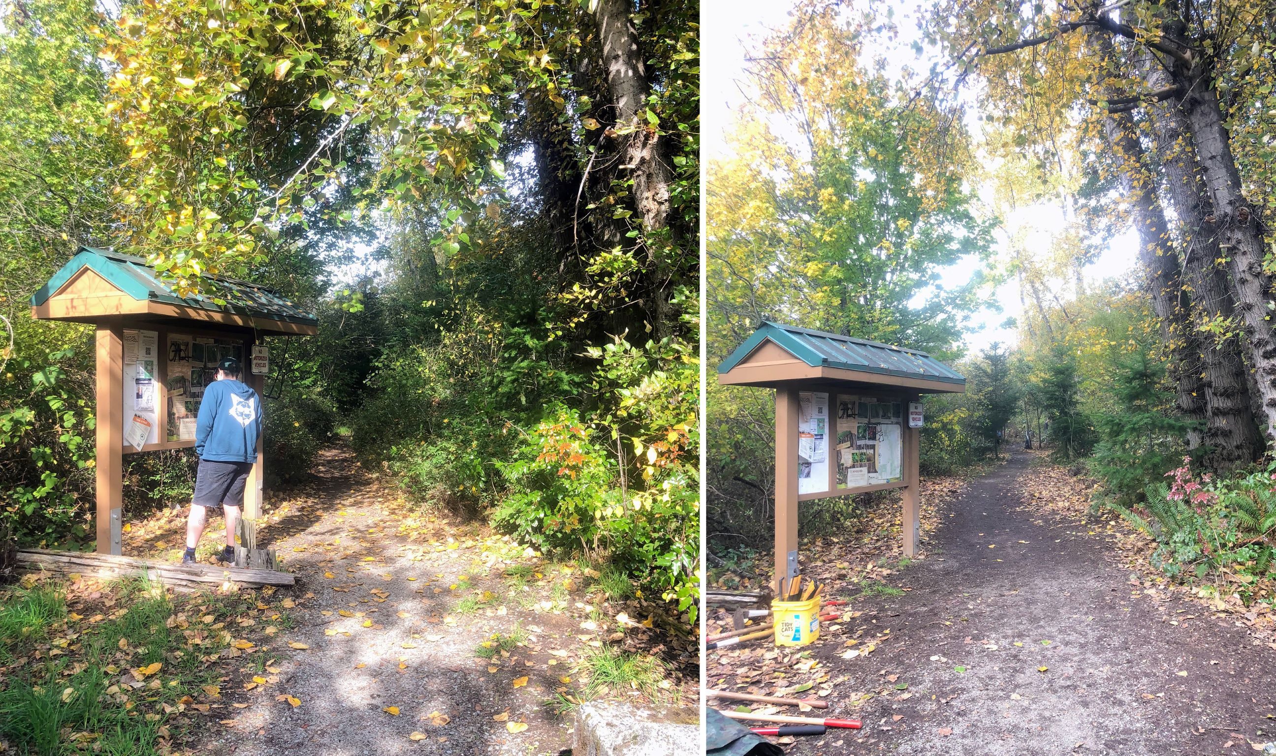 Before and after trail crew members clear the West Duwamish Greenbelt trail of brush. Photo by Kaci Darsow.