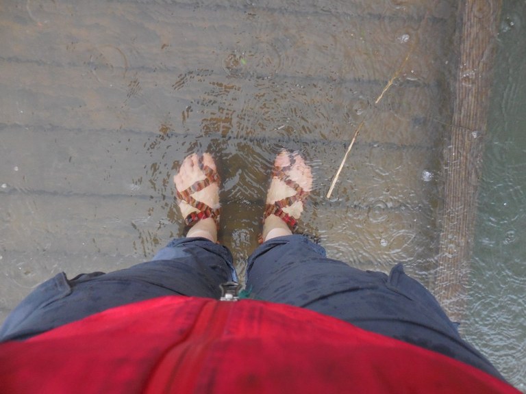wet feet_anna roth.jpeg