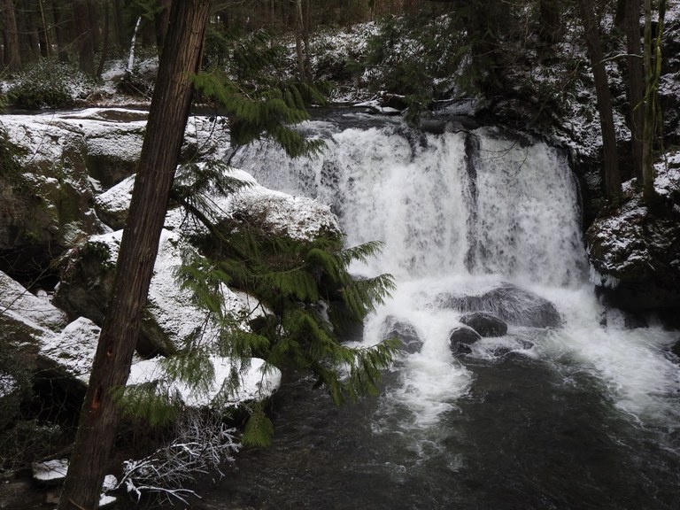 Whatcom Falls by Pribbs.jpeg Whatcom Falls by Pribbs.jpeg