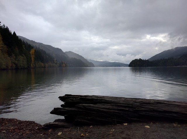 A misty fall day along Lake Whatcom. Photo by arrkay.