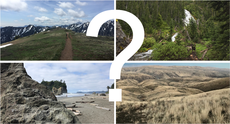Four trail vistas with a question mark. 