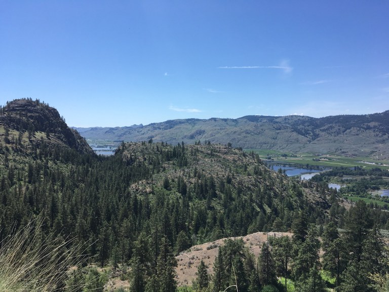 Whistler Canyon Trail by jenanddog.jpeg